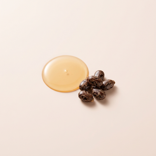 Castor Seed Oil