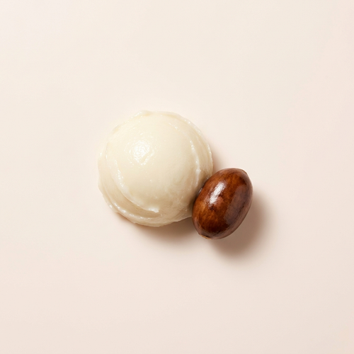 Cupuacu Seed Butter